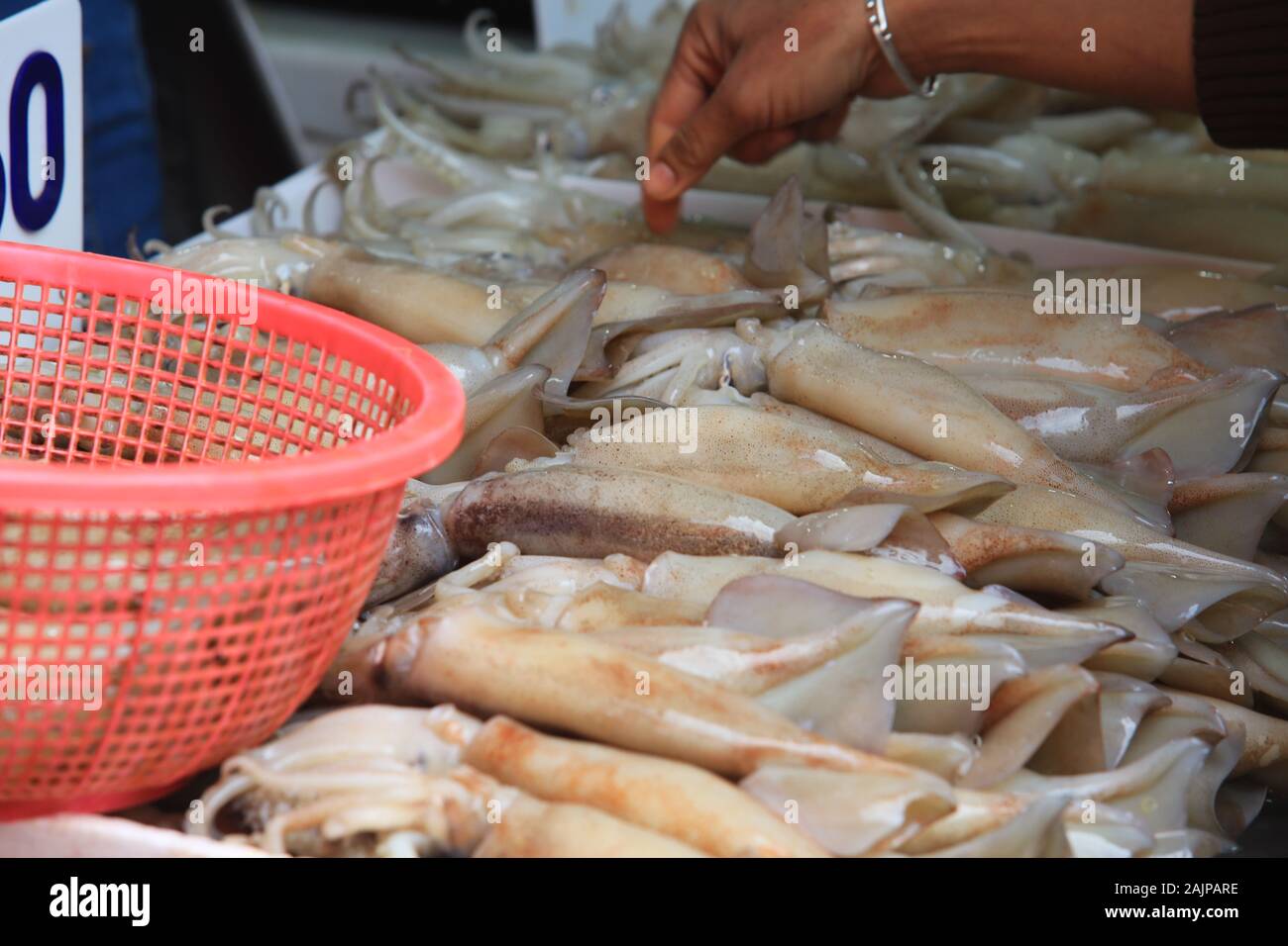 tasty squid on thailand bangkok street, fresh fish market Stock Photo
