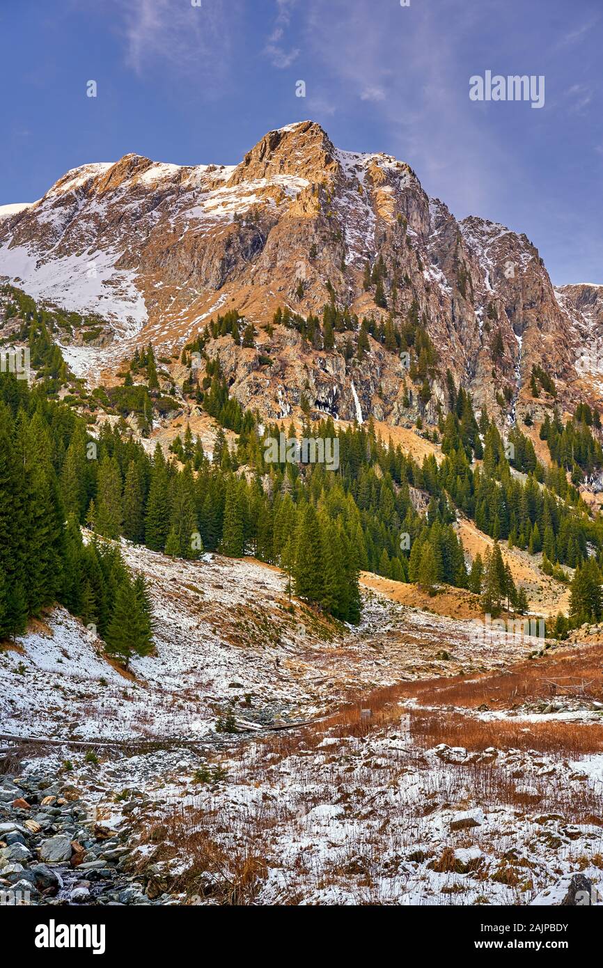 Landscape with pine trees and mountains in the winter Stock Photo - Alamy