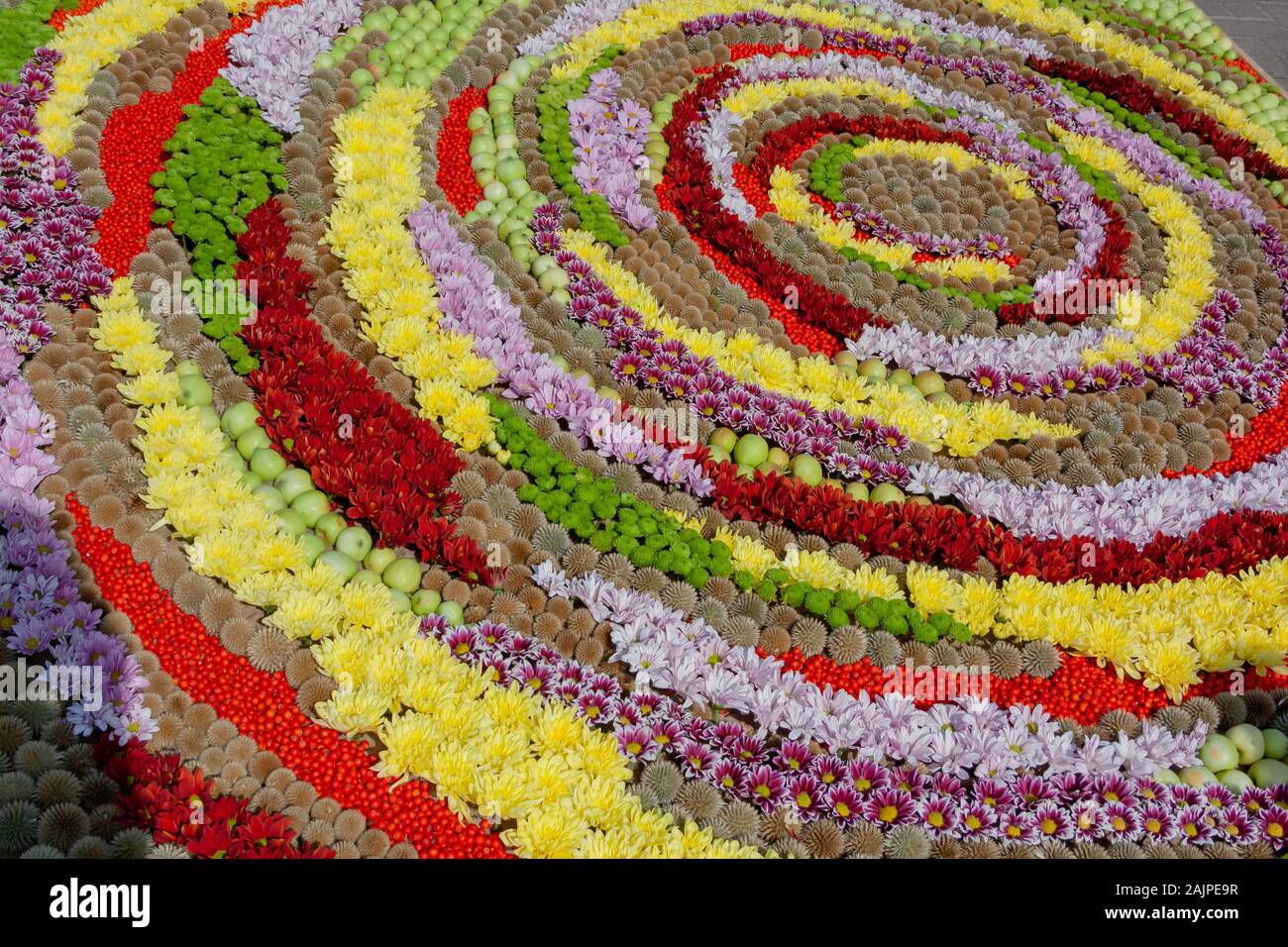 background with lots of colorful flowers. Ventspils, Latvia 08.03.2019. Florist Competition Stock Photo