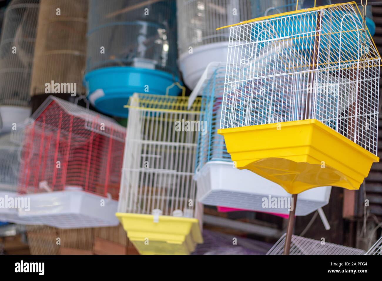 Pet shop selling birds in hi-res stock photography and images - Page 2 -  Alamy