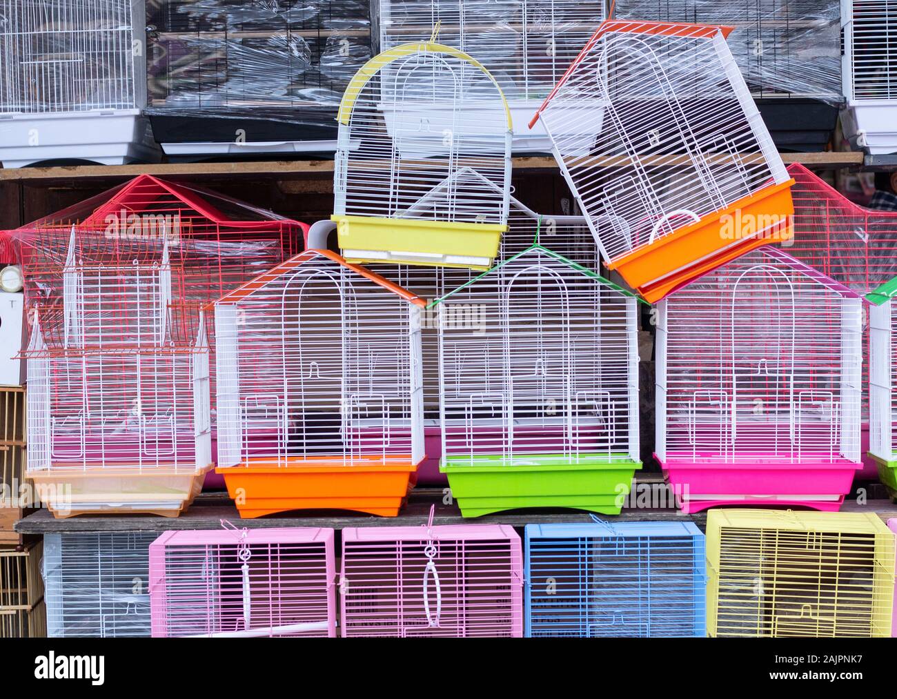 Bird Pet Shop High Resolution Stock Photography And Images Alamy