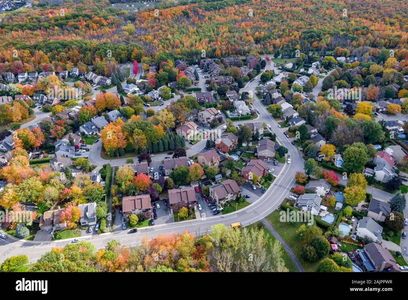 Aerial view of residential neighbourhood showing trees changing color during fall season in Montreal, Quebec, Canada. Stock Photo