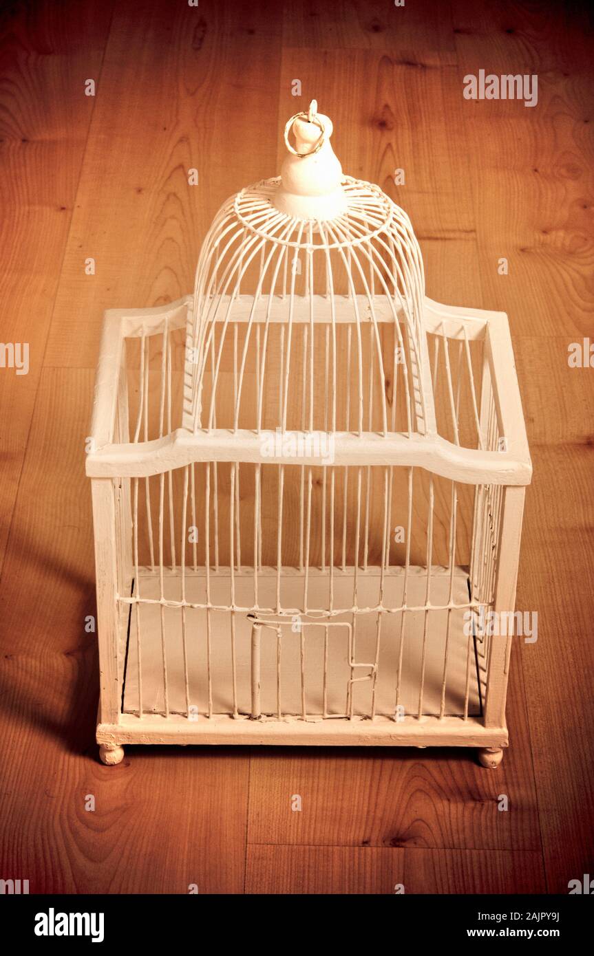 vintage antique empty white bird cage Stock Photo Alamy