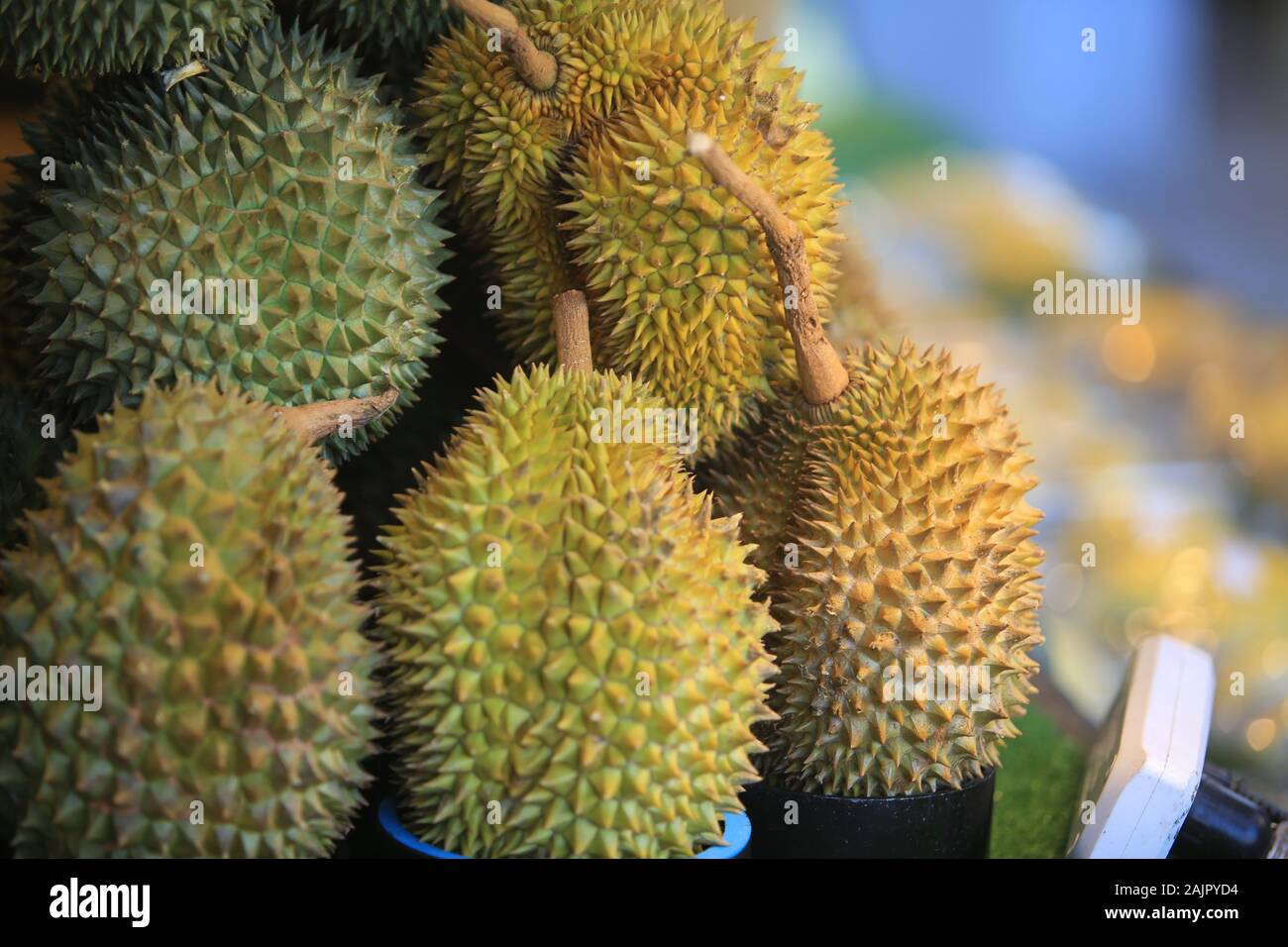 durian in thailand fruit market, Muang Mai Stock Photo