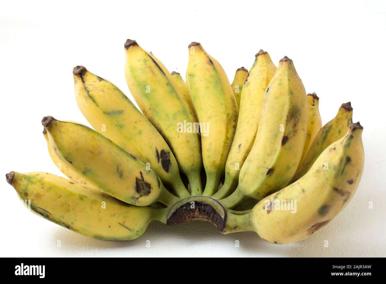 Pisang Awak Banana Isolate White Background Stock Photo - Alamy