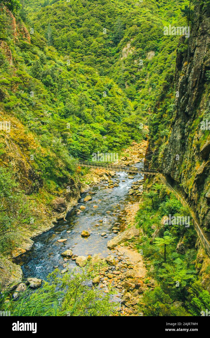 Karangahake Gorge on the North Island of New Zealand Stock Photo