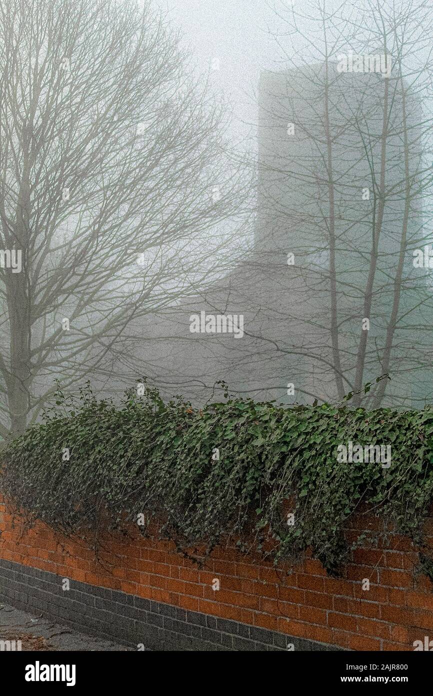 A foggy day in the city Stock Photo - Alamy