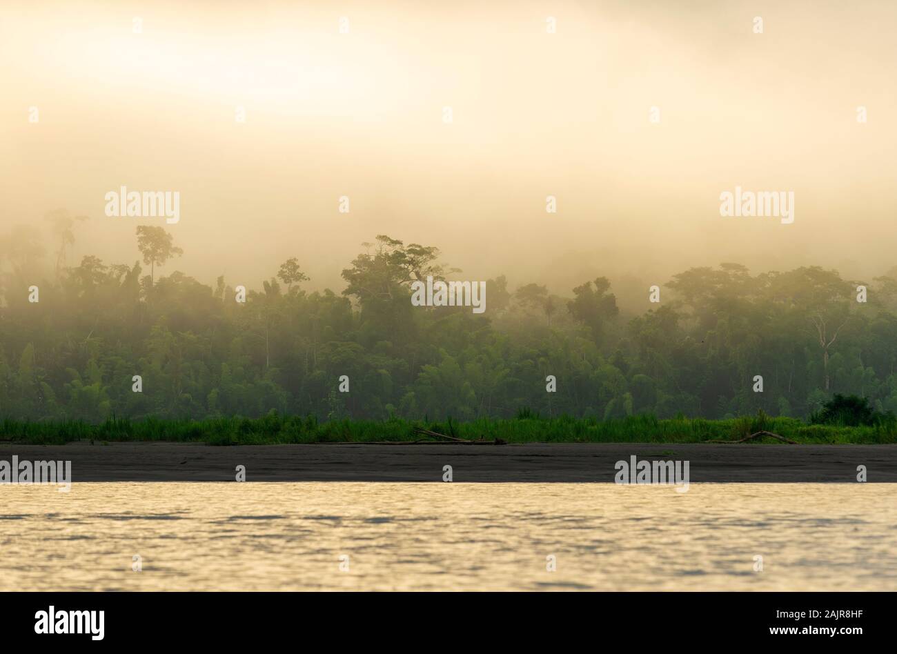 Sunrise by the Amazon river rainforest in the countries of Brazil, Bolivia, Colombia, Ecuador, Guyana, Peru, Venezuela, Suriname. Stock Photo