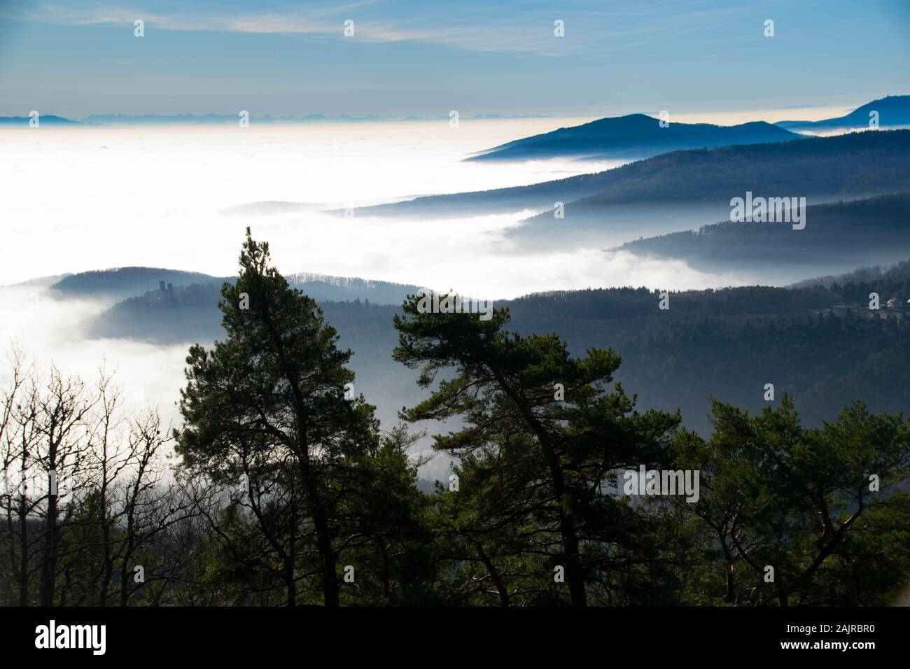 View to the Vosges mountains in Alsace in France on a foggy winter day Stock Photo