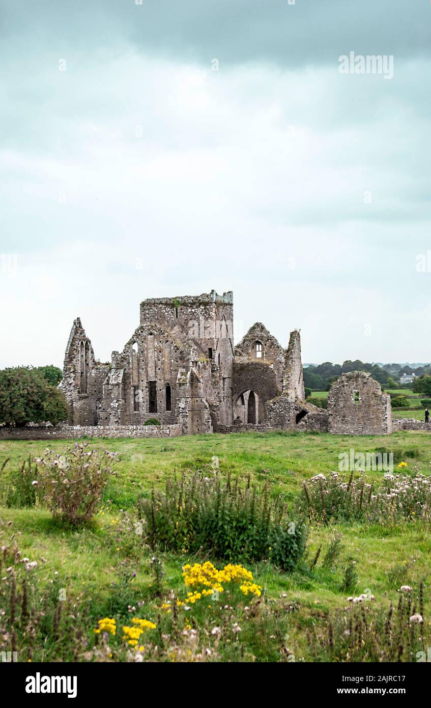 Old castle ruins in the grasland of Ireland Stock Photo