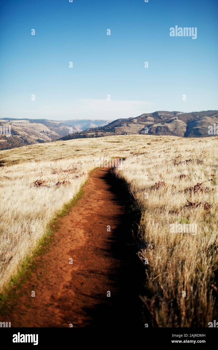 Trail in grassy Rowena Crest looking out towards hills Stock Photo
