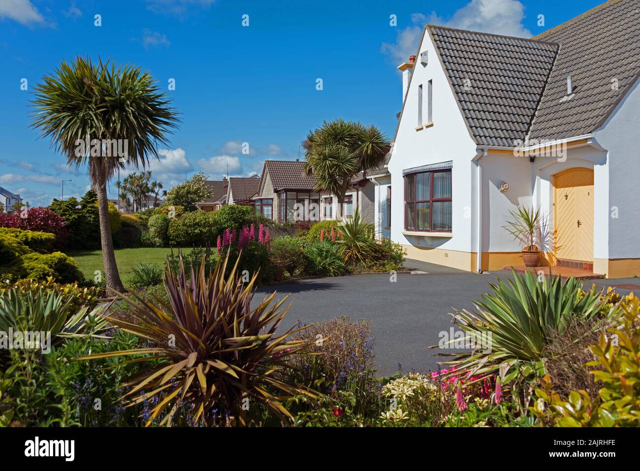 Haeuser und Garten, Kilkeel, County Down, Nordirland, Grossbritannien / Großbritannien, Häuser Stock Photo