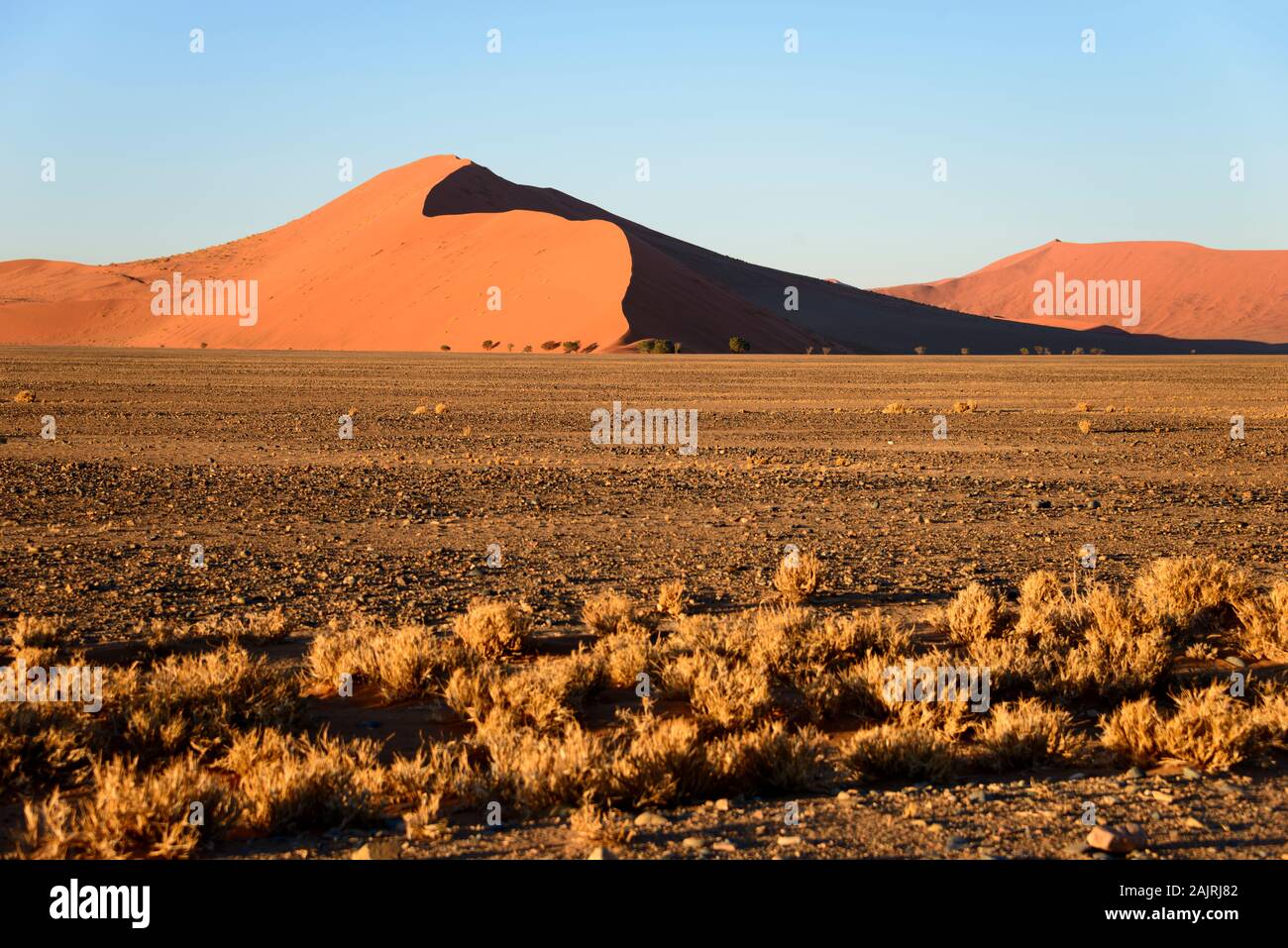 Sand dunes, Namib-Naukluft Park, Namib Desert, Namibia |Sandduenen, Namib-Naukluft-Park, Namib-Wueste, Namibia / Sanddünen, Namib-Wüste Stock Photo