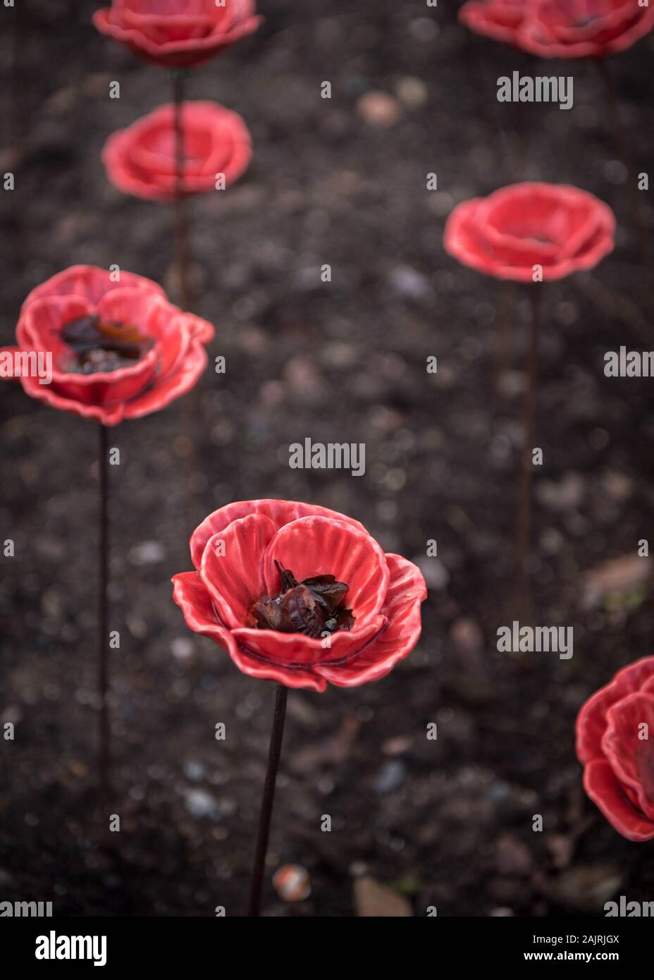 Poppy Rhs Art work installation of Ceramic Poppy flowers at RHS Rosemoor to ...