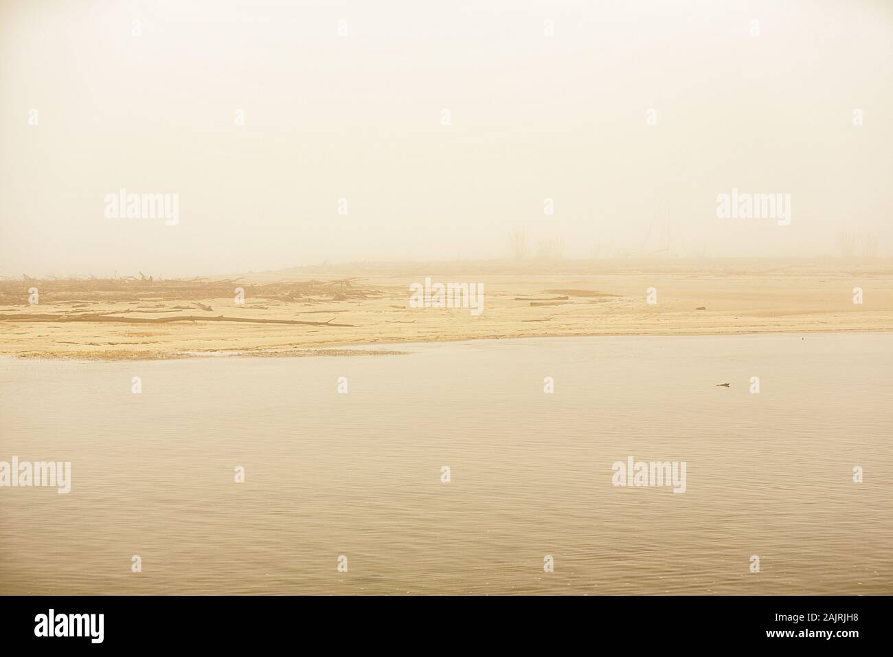 marsh in the fog, france Stock Photo