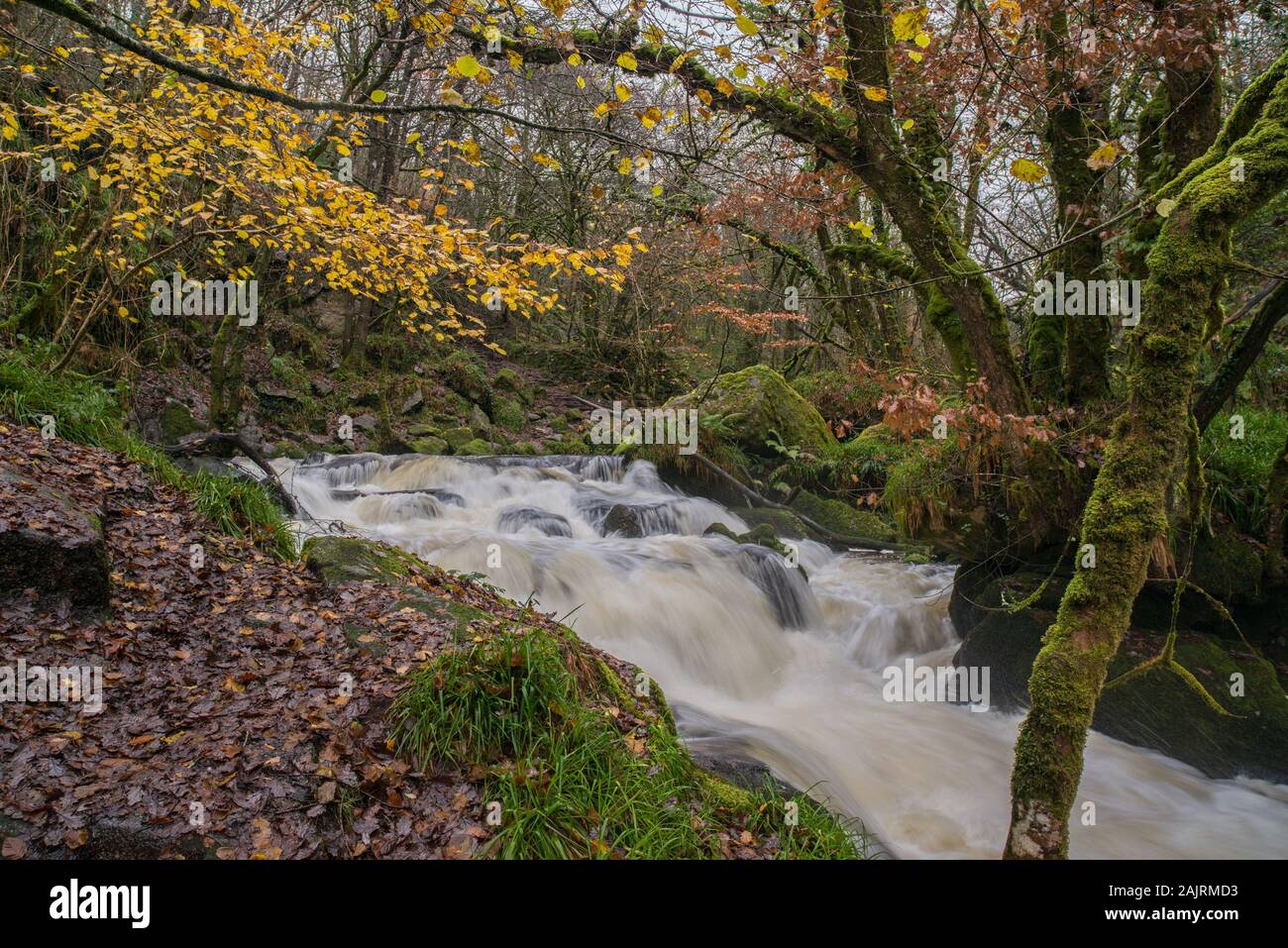 Woodland waterfall hi-res stock photography and images - Alamy