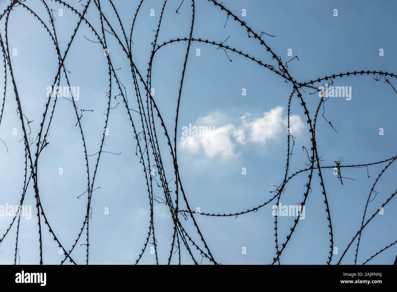 Barbed wire fence with blue sky and a cloud Stock Photo - Alamy