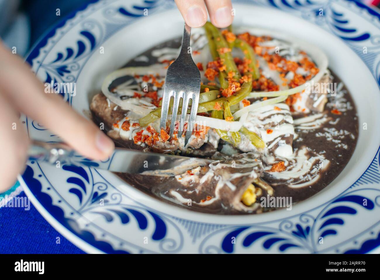 Mole Mexicano, Poblano mole ingredients, mexican spicy food traditional