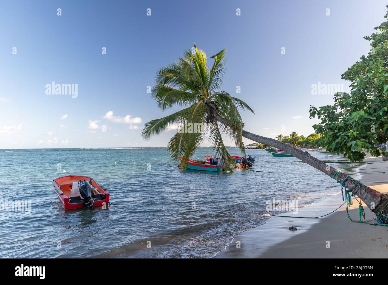Fishing boats in water in Trinite, Martinique, France Stock Photo Alamy