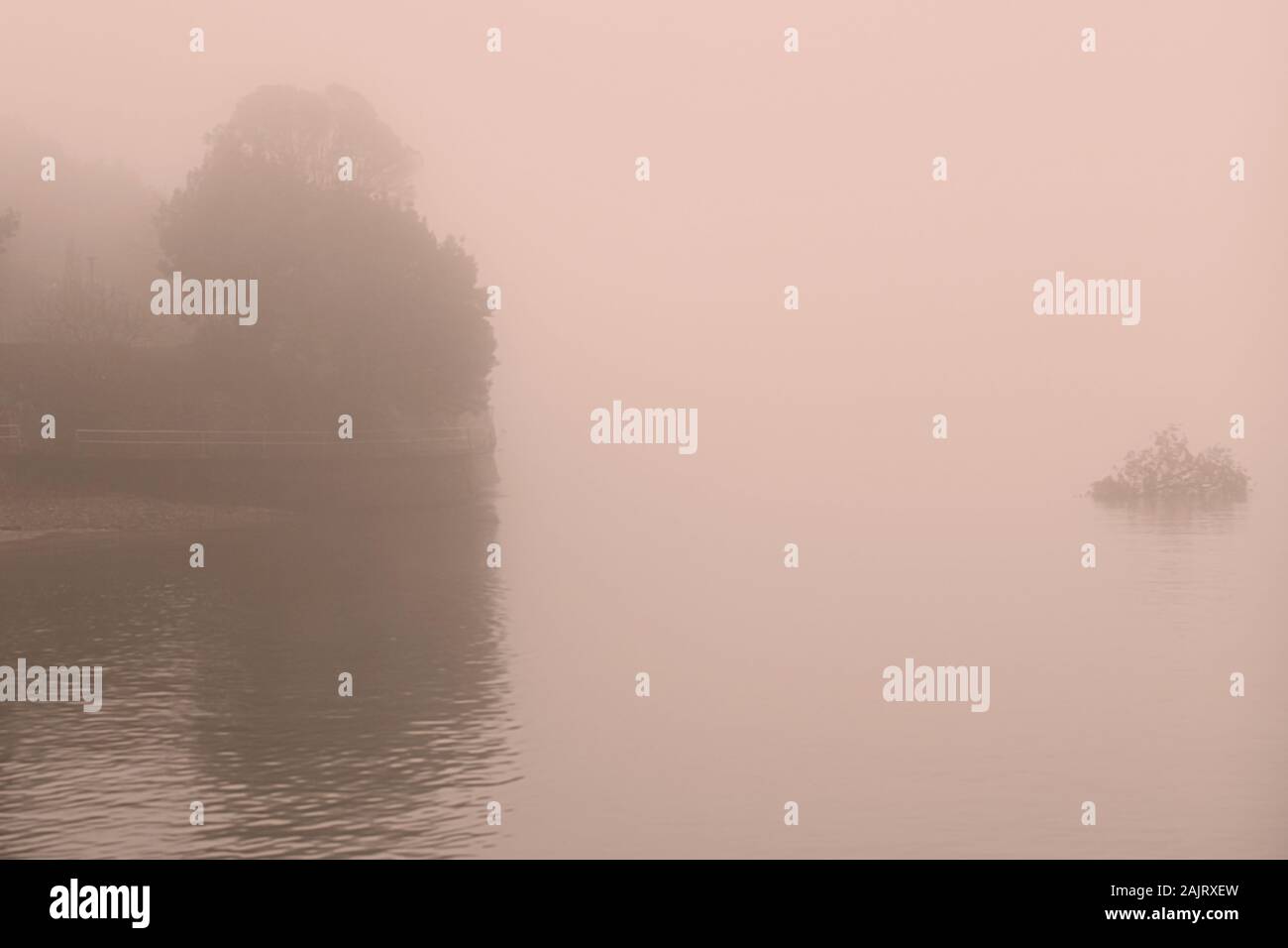 marsh in the fog II , france Stock Photo