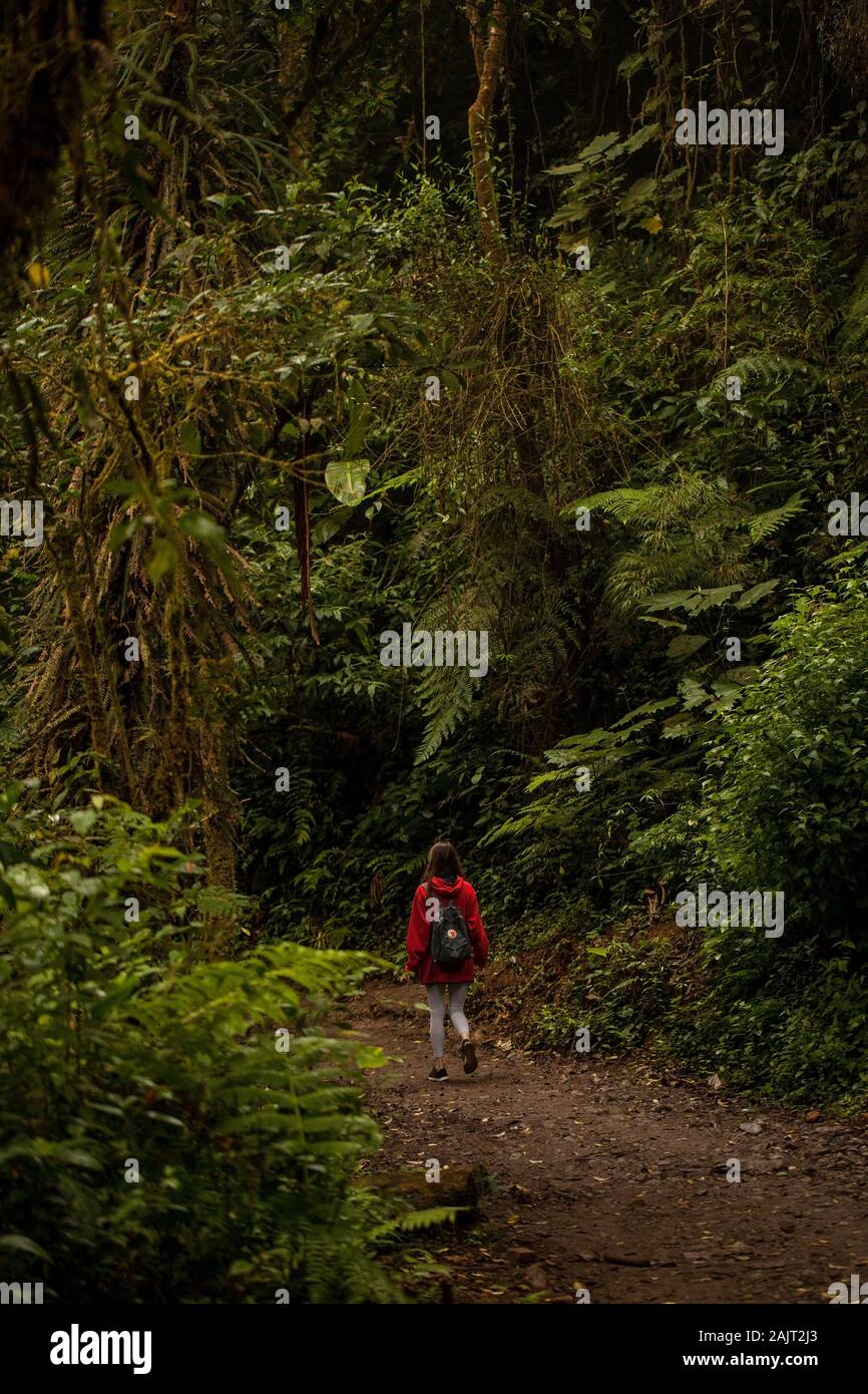 Monteverde,Puntarenas/Costa Rica-24 January,2019:young traveler hiking in Monteverde Claude forest with a practical Fjallraven Kanken backpak. Swedish Stock Photo