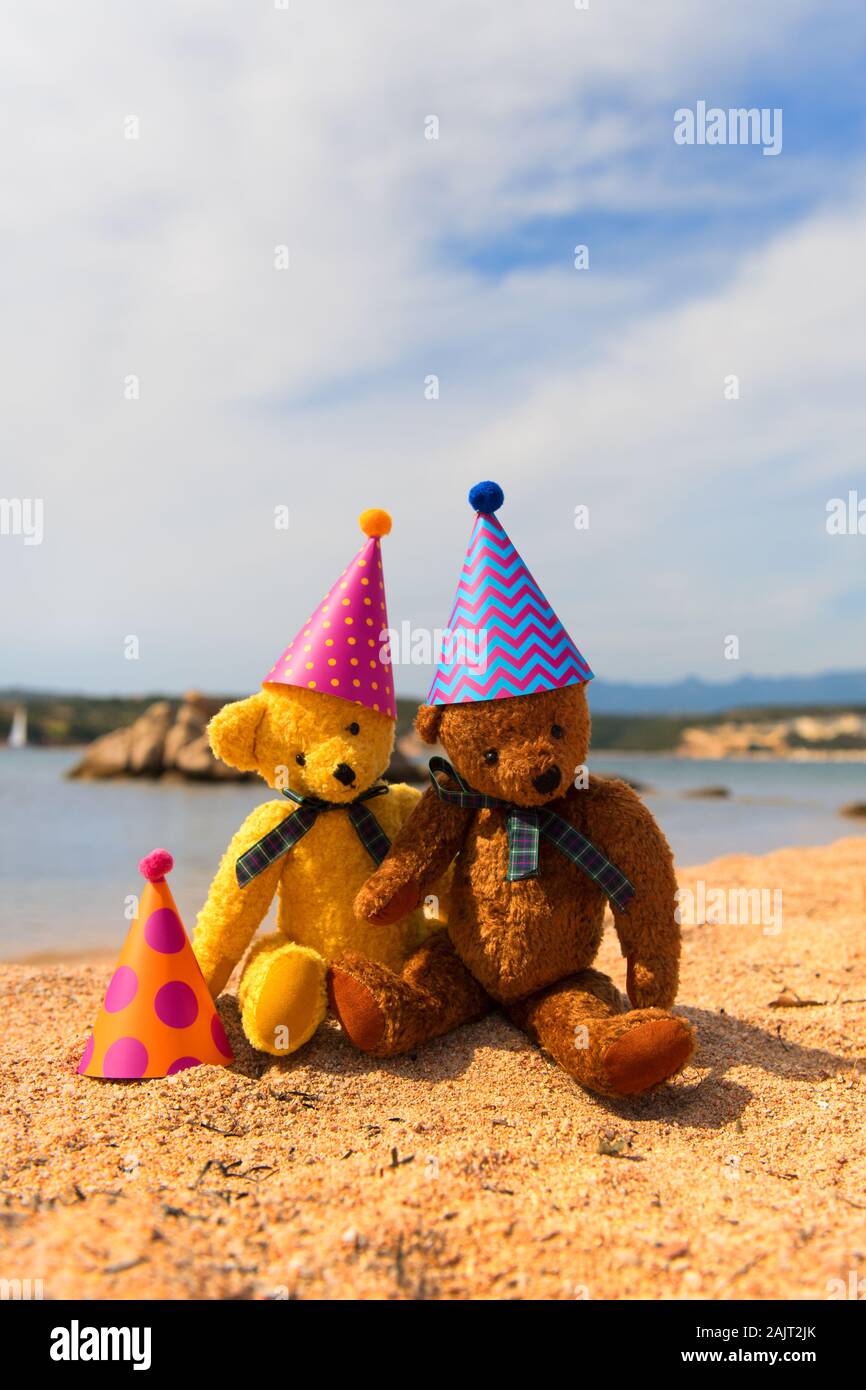 PairTeddy bears with colorful party hats at the beach Stock Photo - Alamy