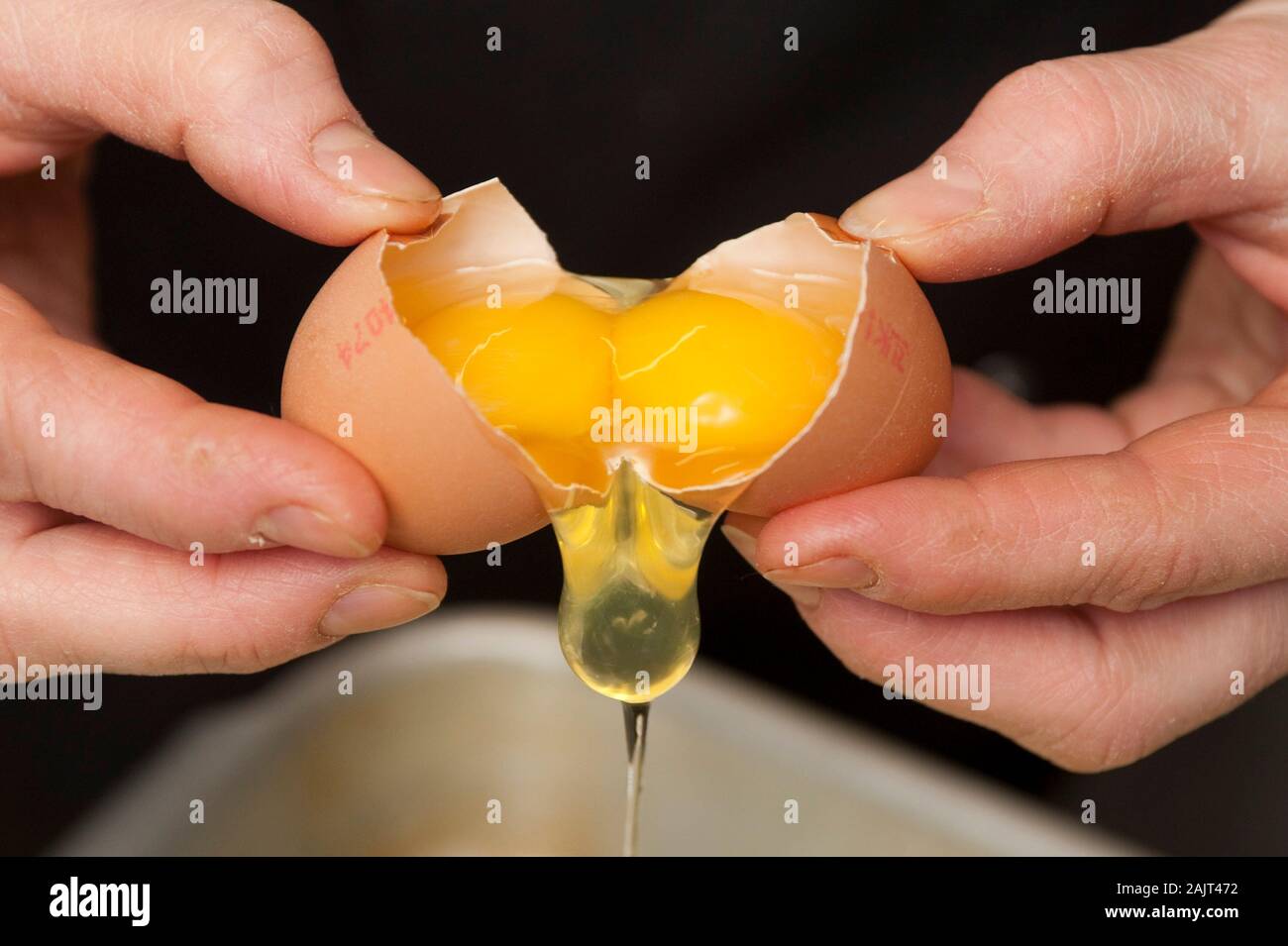 A tray of double yolk eggs. A double yolk occurs when a chicken