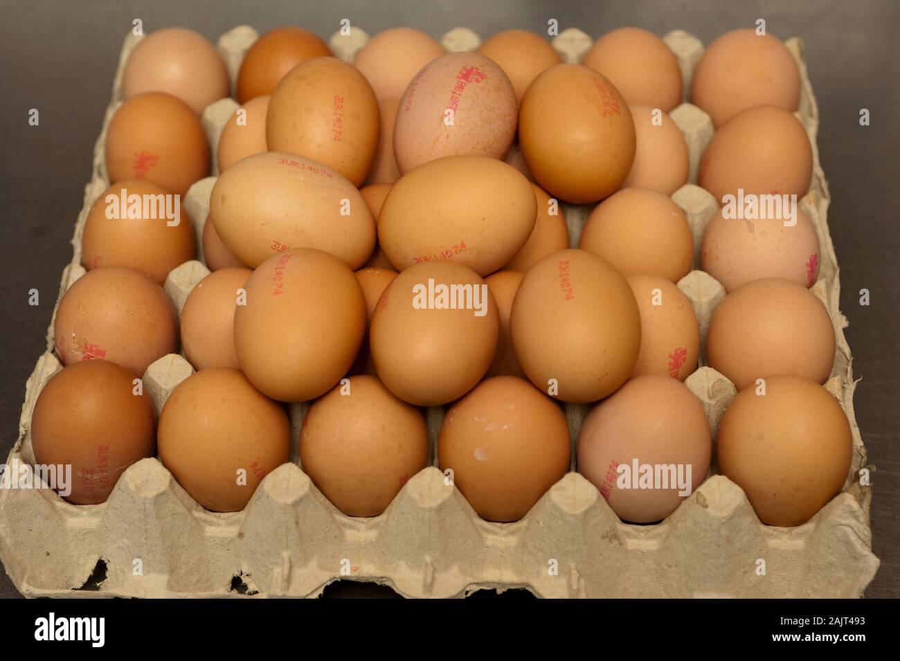 A Tray Of Double Yolk Eggs A Double Yolk Occurs When A Chicken Releases Two Yolks Into The Same Shell Usually Produced By Young Chickens Whose Reproductive Systems Have Not Yet Fully