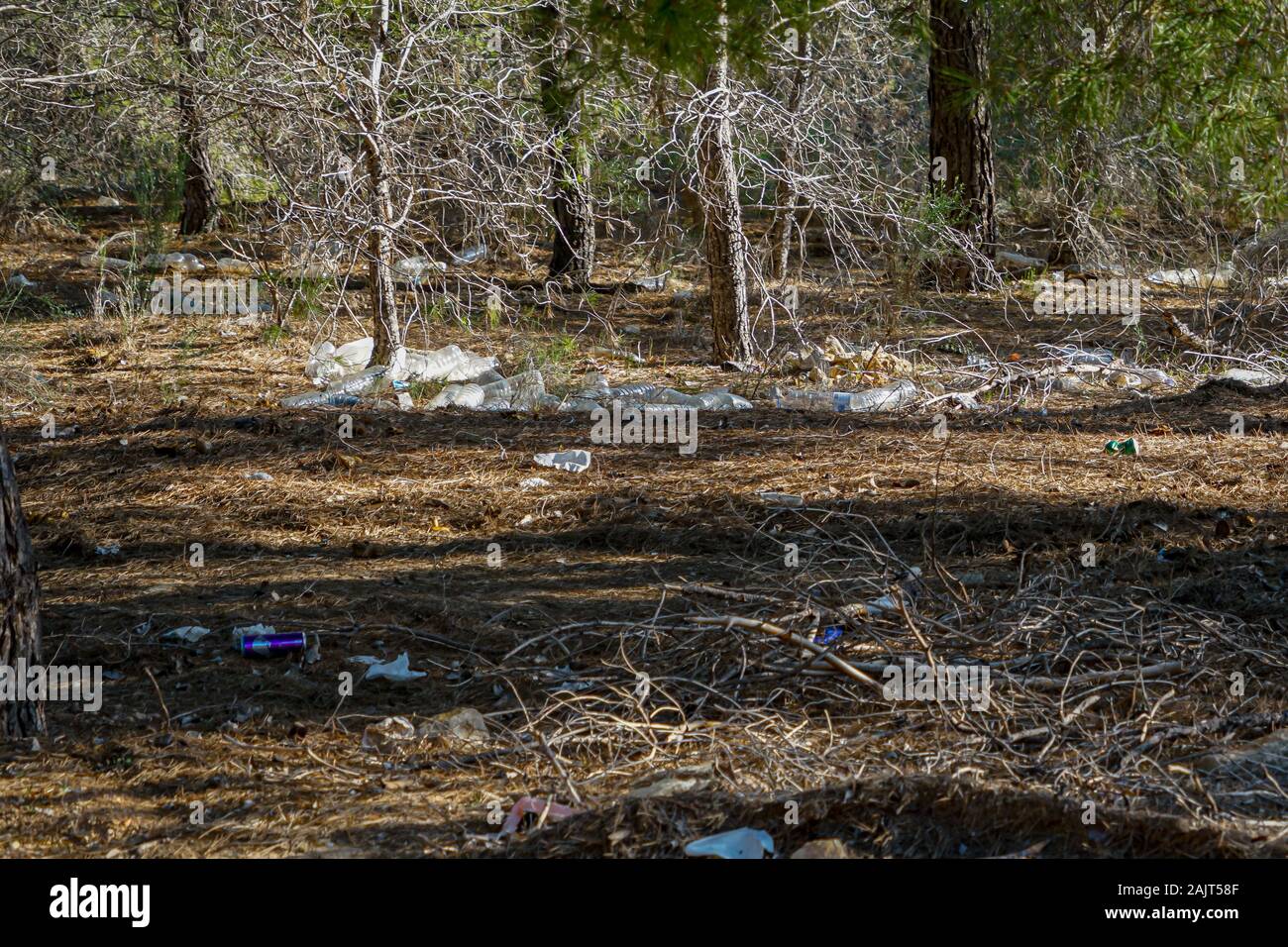 Photo complaint. Crowd of plastic bottles in the pine forest of Coto Cuadros. Murcia, Spain Stock Photo