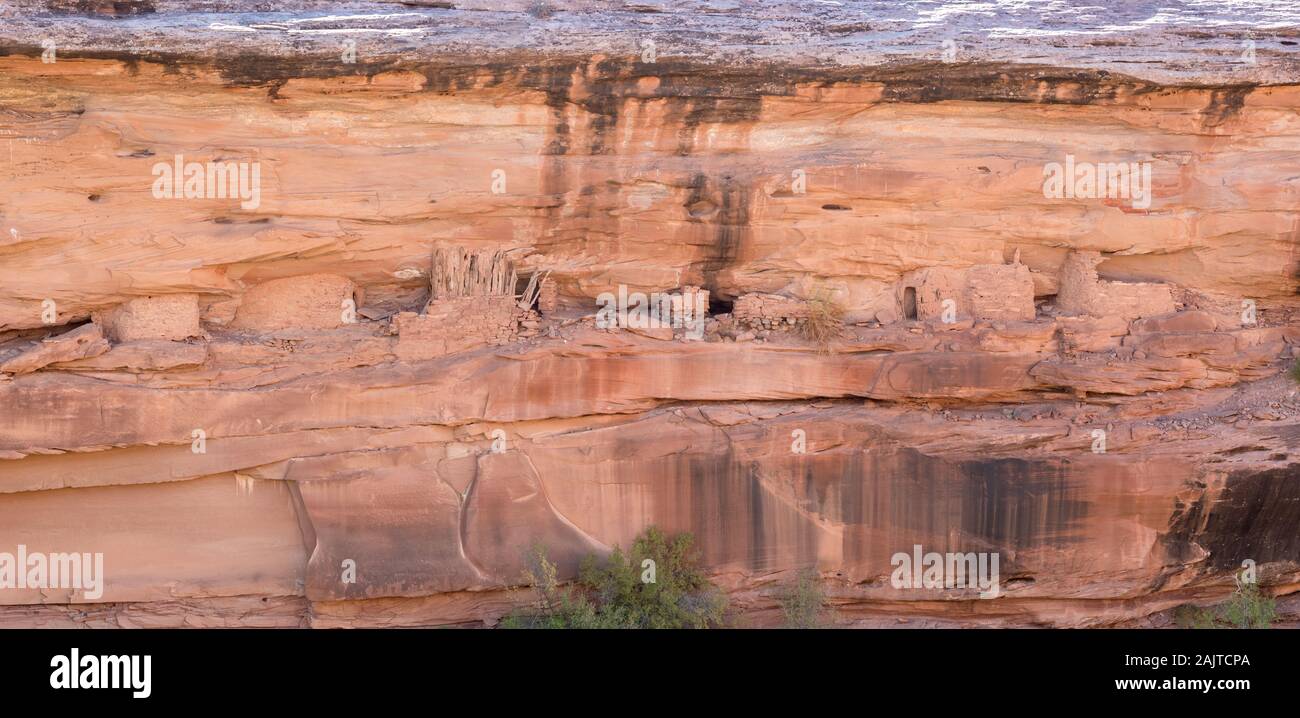 Cliff dwelling in lower Chinle Wash, Navajo Nation (Utah). Stock Photo