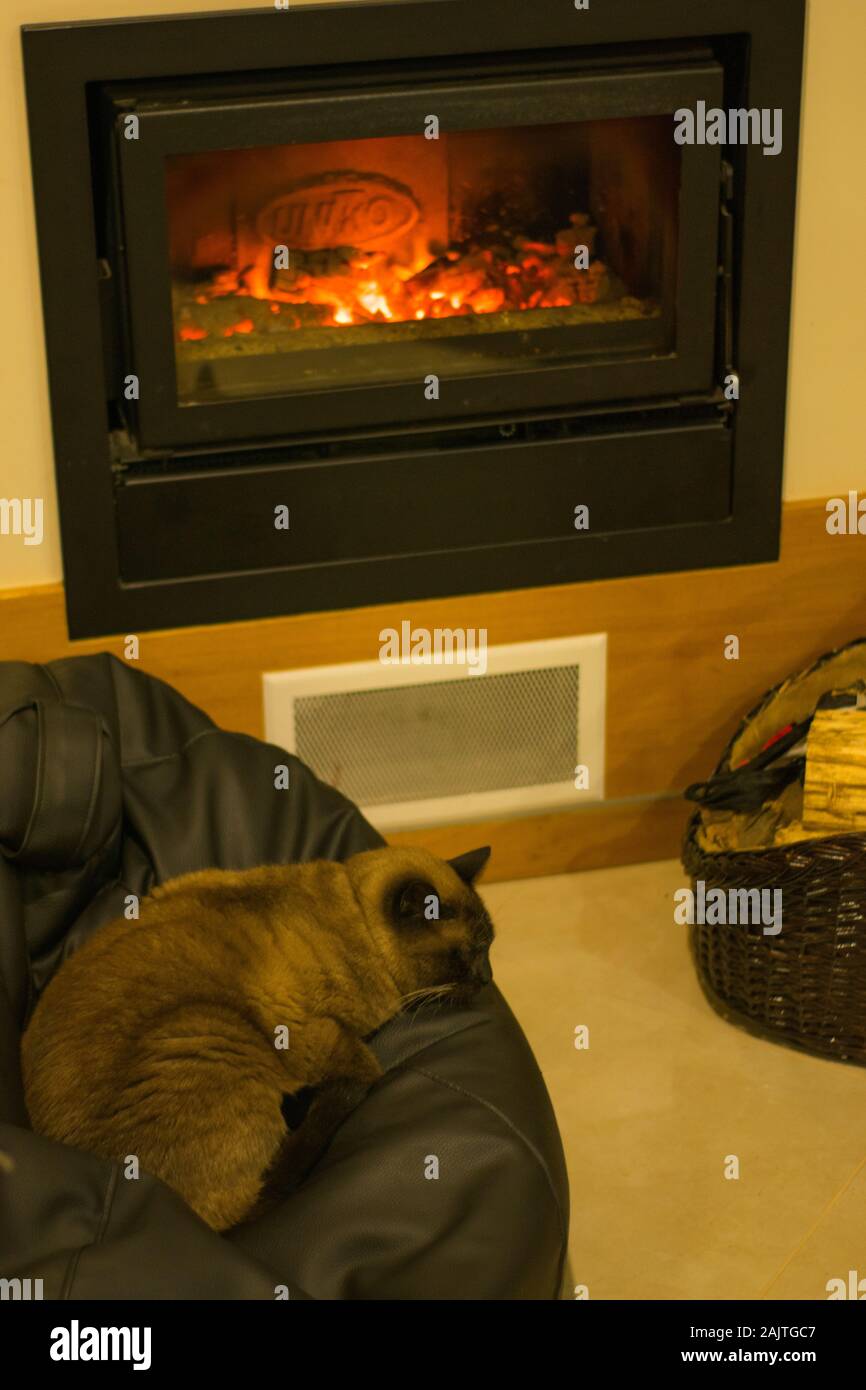 Steel Fireplace Stock Photos Steel Fireplace Stock Images Alamy