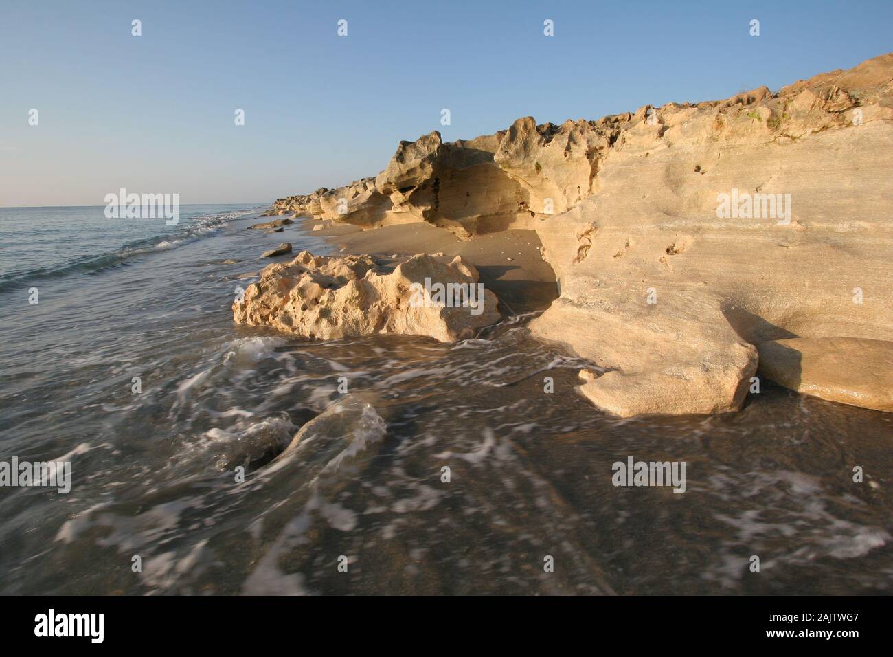 Anastasia Limestone Outcropping In Blowing Rocks Preserve On Jupiter 