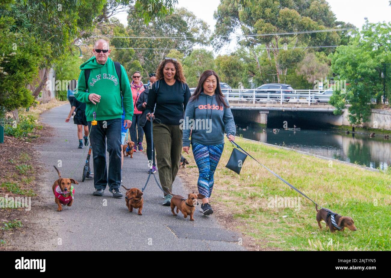 Ethnically-diverse residents walking their dachshunds beside the Elwood Canal, Melbourne, Australia Stock Photo