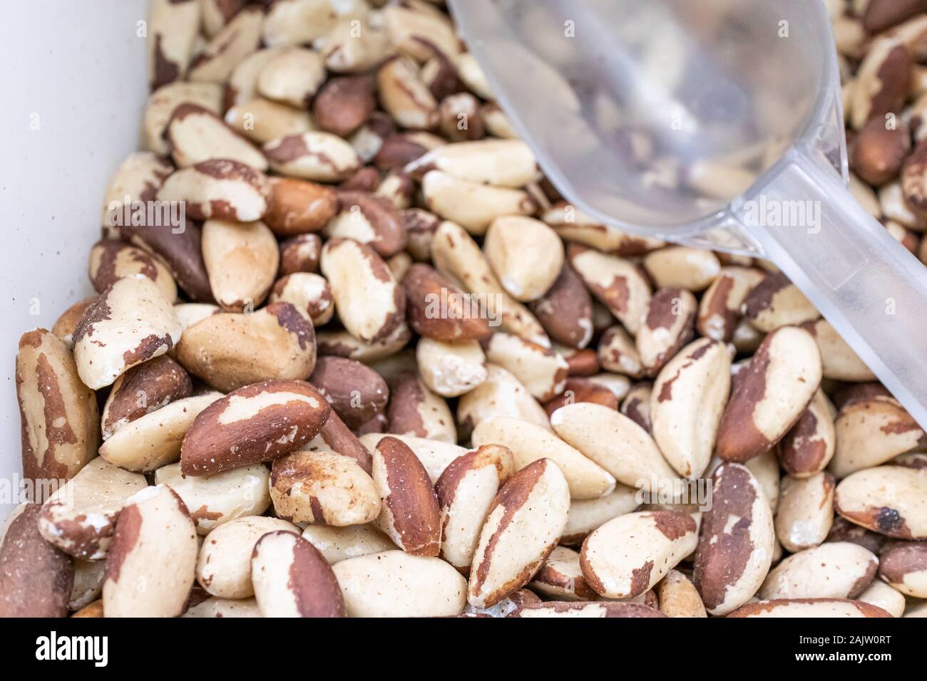 Brazil nuts on display in dispenser with a scoop Stock Photo