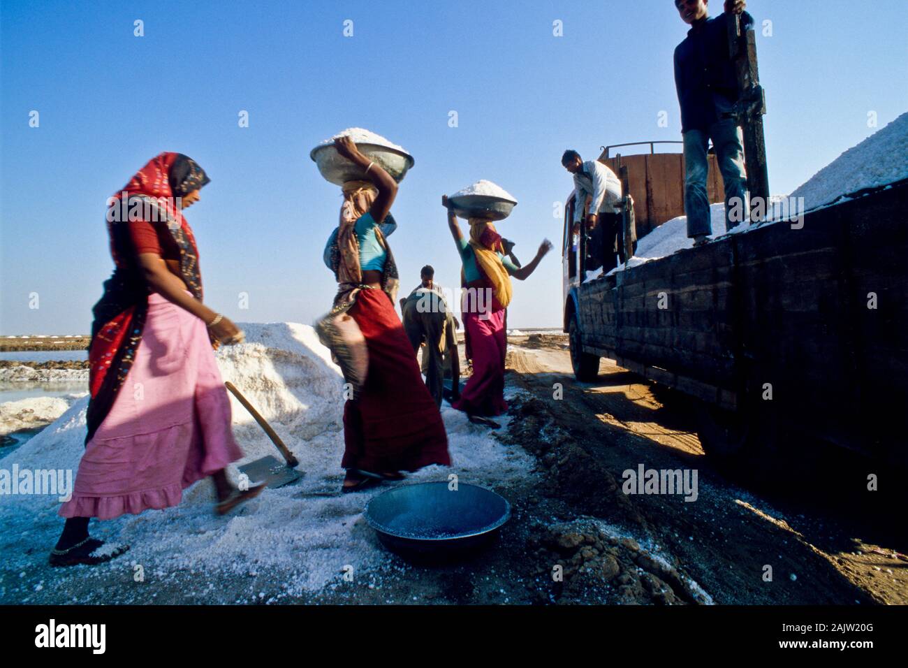 Bringing Salt The salt is taken away by trucks and brought to the salt-industry Stock ...