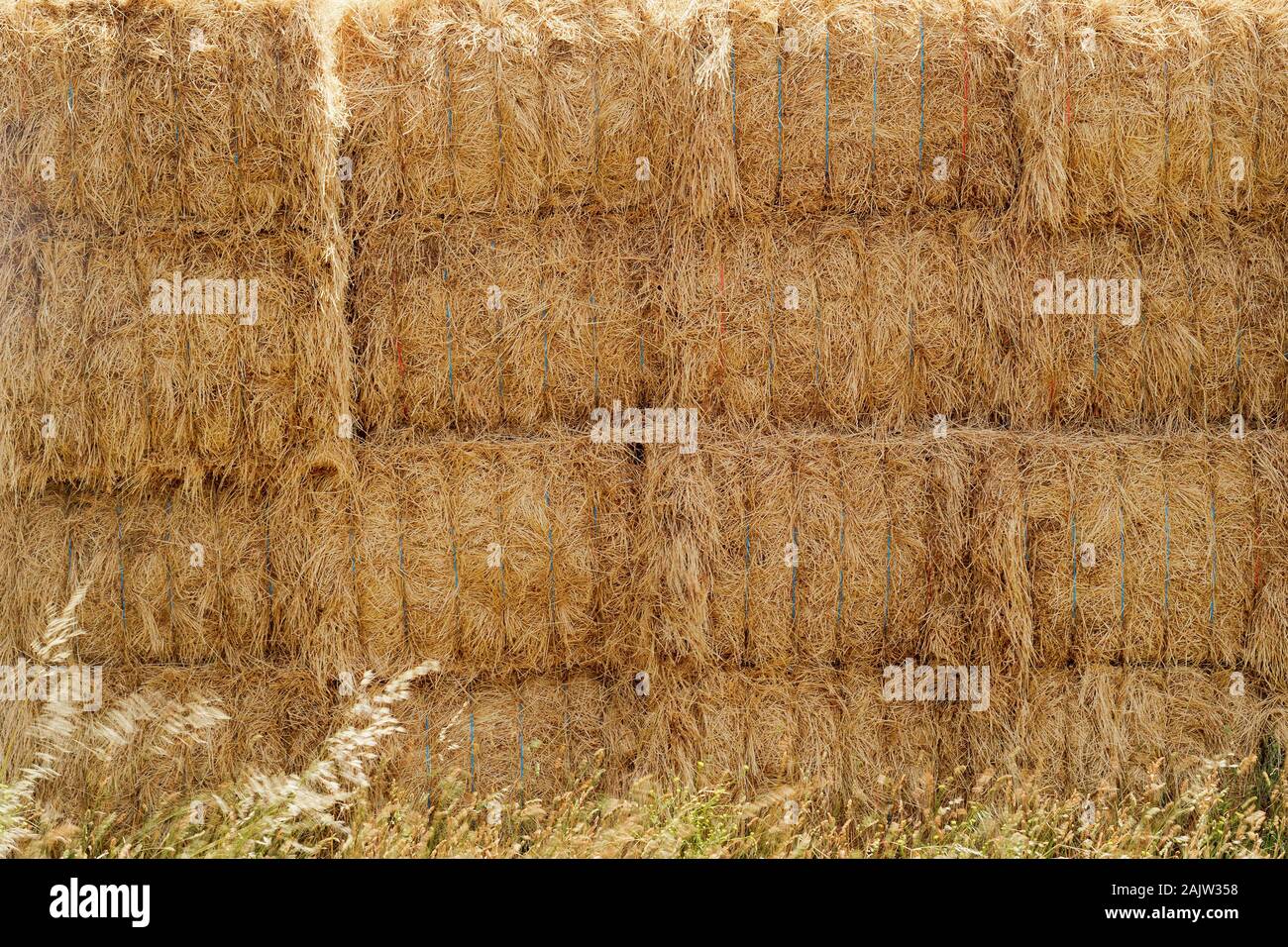A photo of hay bales on a farm ready to transportation. Closeup photo. Stock Photo