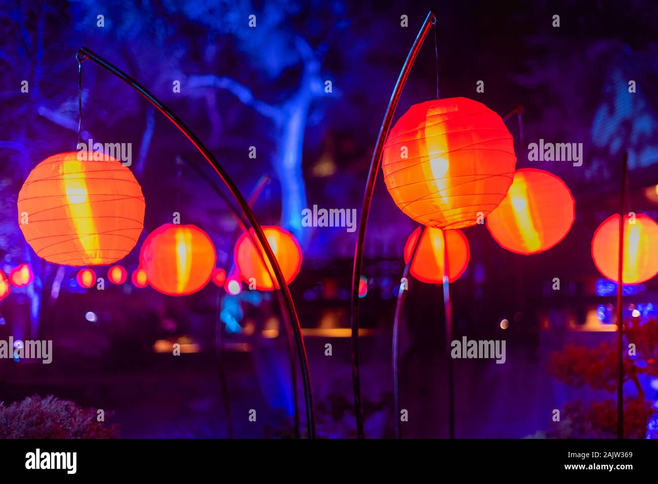 Enchanted forest of light - beautiful glowing lanterns at night Stock Photo  - Alamy