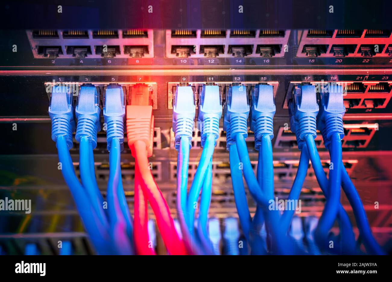 Cable not connected. Патч панель вектор. Network Red Patch Cord.