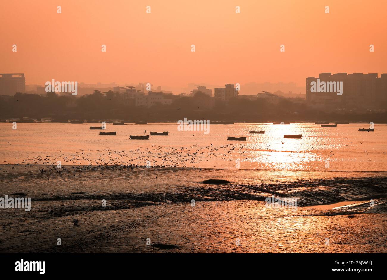 Surat india river hi-res stock photography and images - Alamy