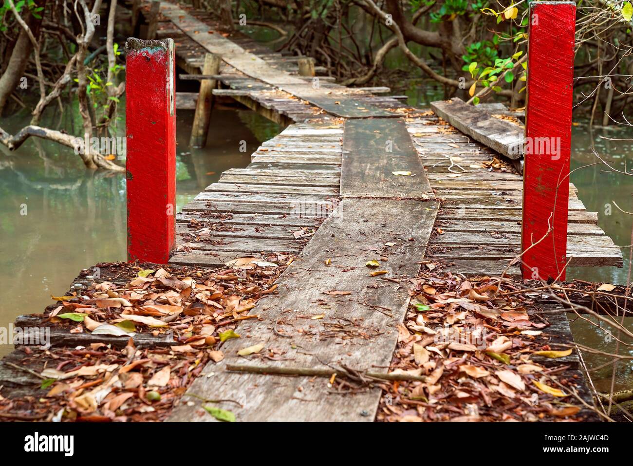 An old wooden bridge with uneven slats and red entry posts standing in the bush over a creek at high tide Stock Photo