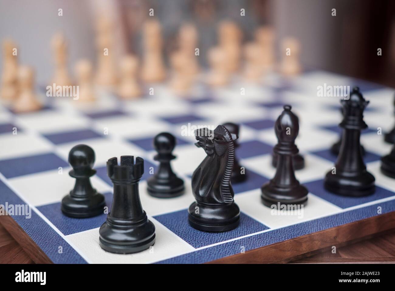 Name Of Each Chess Pieces Stock Illustration - Download Image Now -  Antique, Art, Chess - iStock