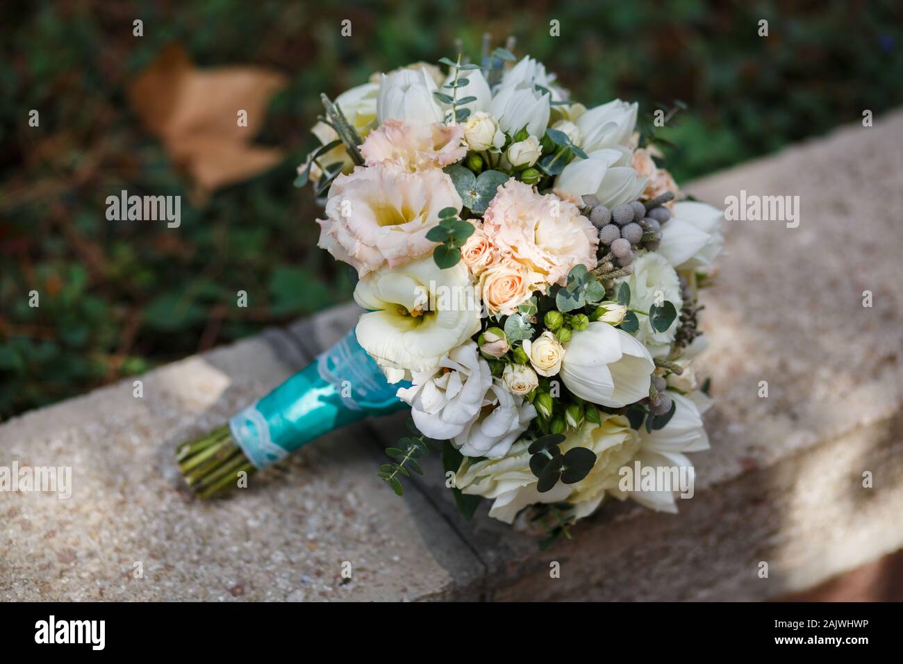 White rose beautiful hi-res stock photography and images - Alamy