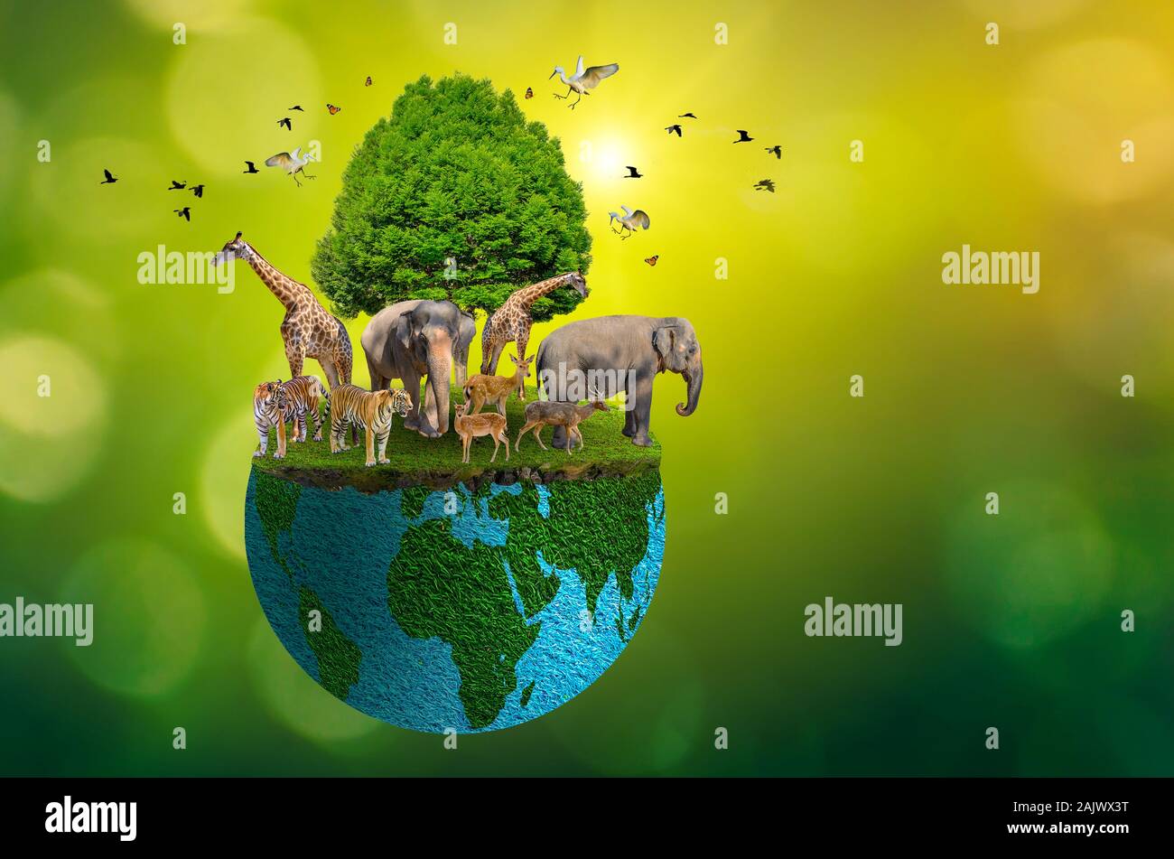 Concept Nature reserve conserve Wildlife reserve tiger Deer Global warming Loaf Ecology Human hands protecting the wild and wild animals tigers d Stock Photo - Alamy