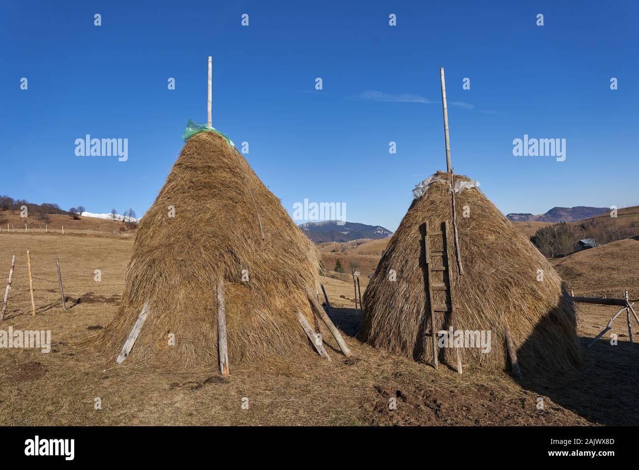 Two hay ricks with mountains in background Stock Photo Alamy