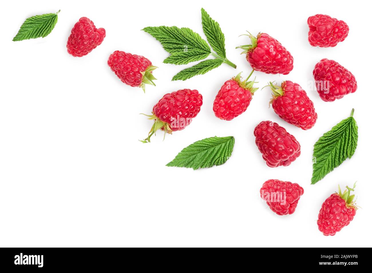 Raspberry Flat Lay raspberries with leaves isolated on white background with copy space ...