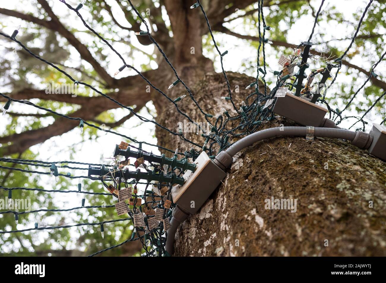 An overloaded strand of Christmas lights are plugged into an indoor