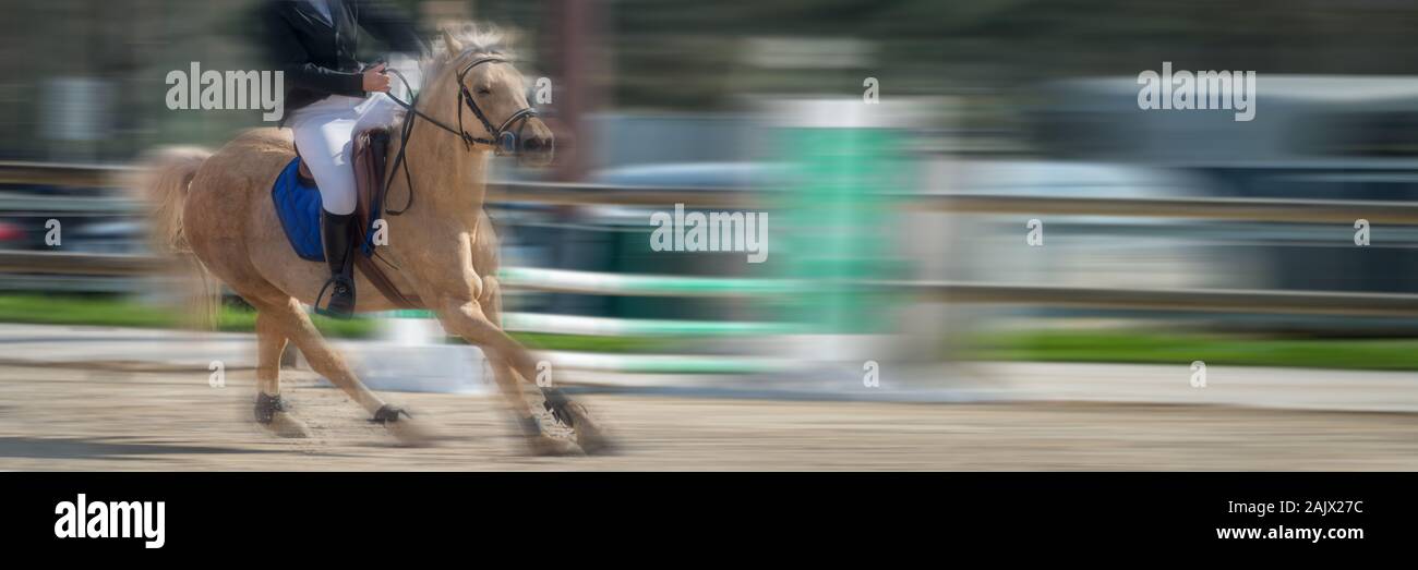 Horse Jumping, Equestrian Sports, Show Jumping Competition panoramic background with motion blur Stock Photo