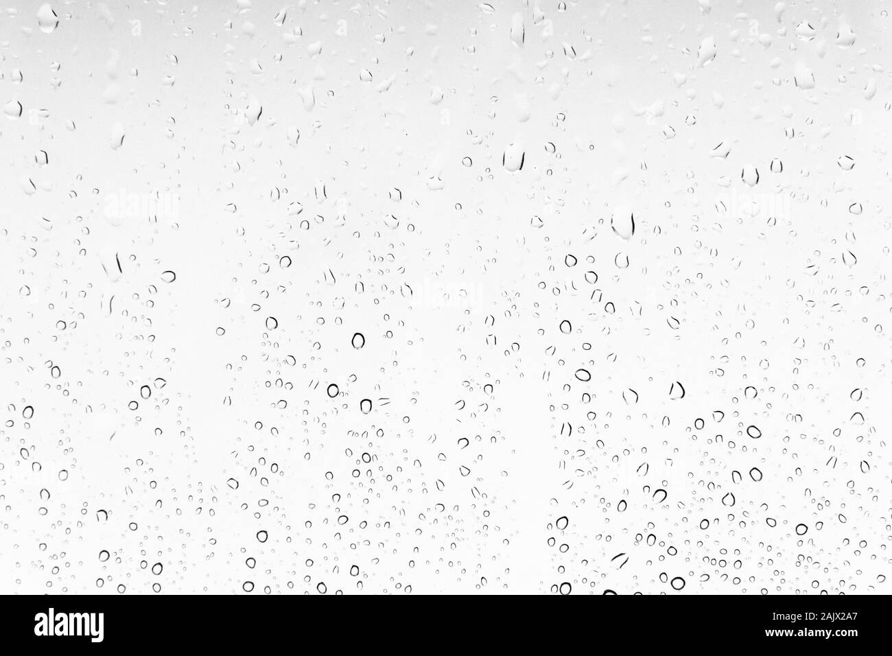 Waterdrops background on a window. White texture of rain Stock Photo