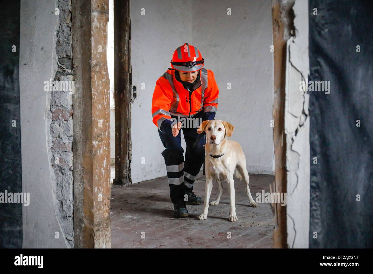 Herne, North Rhine-Westphalia, Germany - Rescue dog training, in empty houses the tracker dogs practice the search for injured, buried people e.g. aft Stock Photo