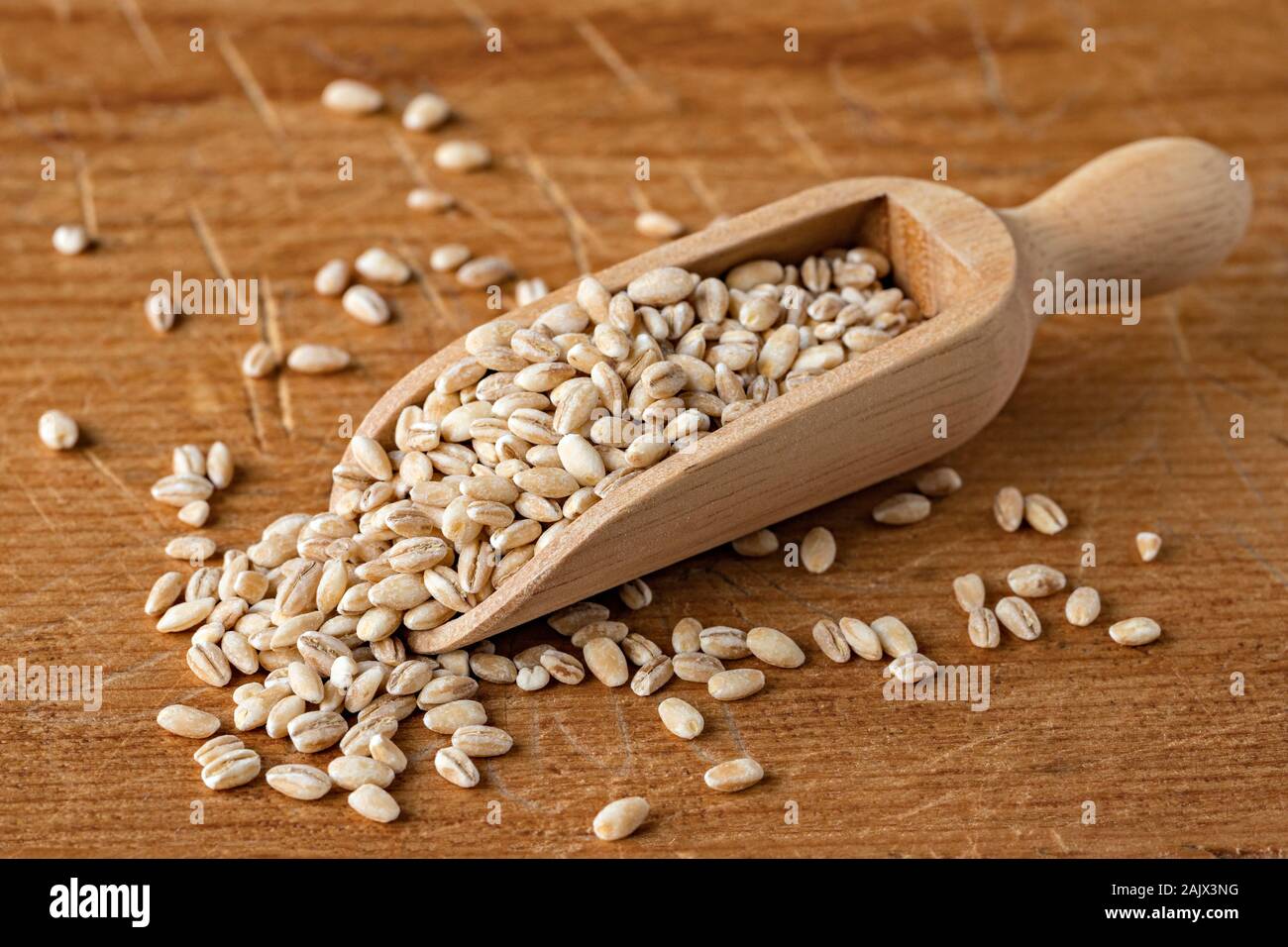 Pearl barley, or pearled barley, in a scoop, on a wooden board. Stock Photo